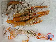 Rappel produit Chrisfish Danemark Langoustines Fraîches Origine Danemark