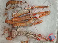 Rappel produit Langoustines Fraîches Origine Danemark Chrisfish Danemark (photo numéro 2)