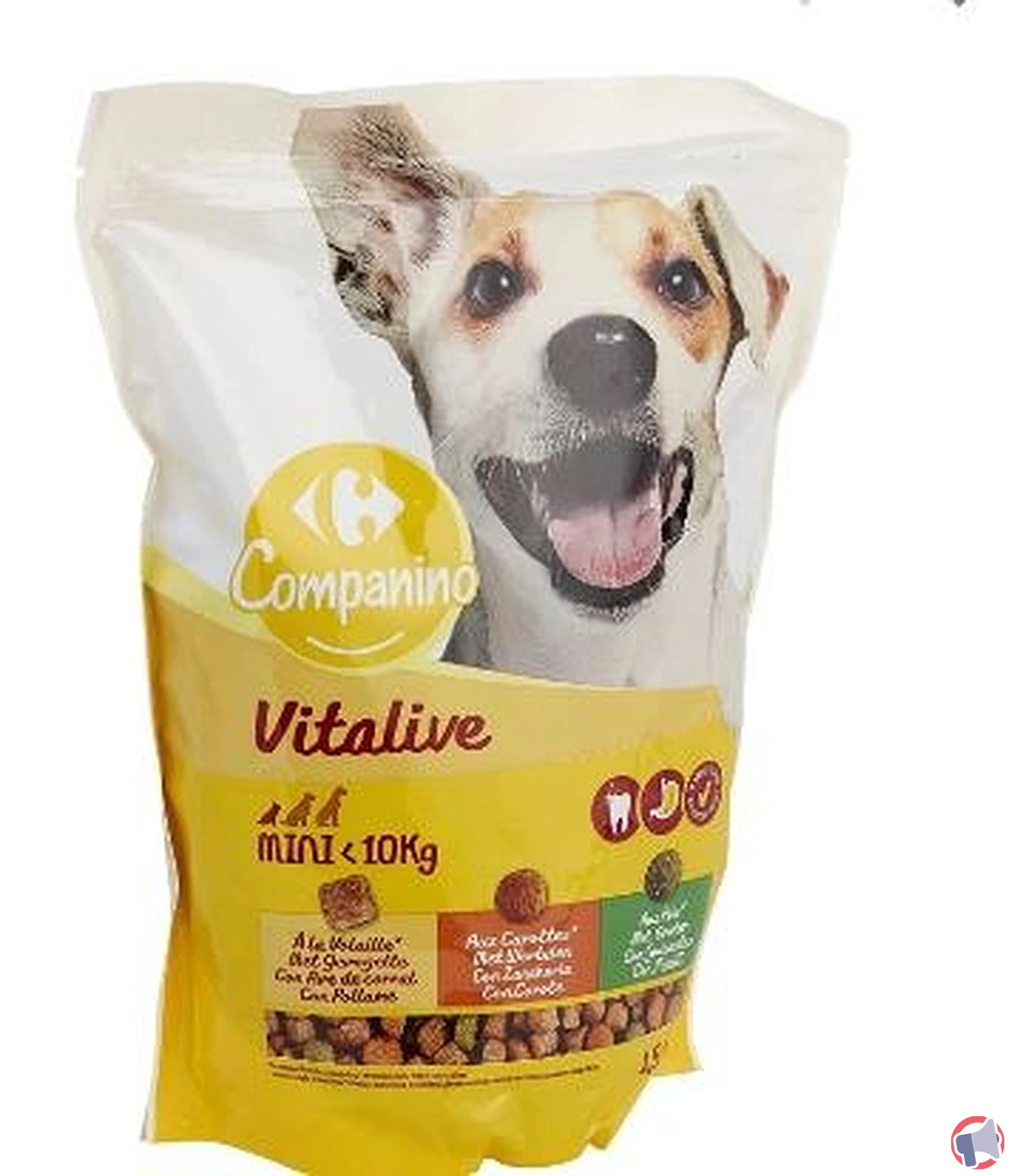 Rappel de croquettes pour chiens Companino Vitalive : risque de salmonellose