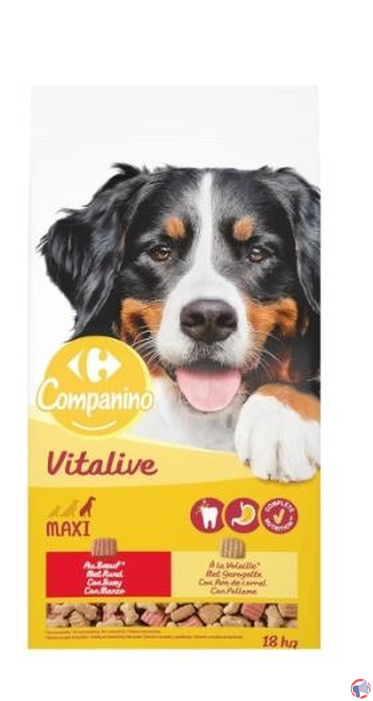 Rappel de croquettes pour chiens Companino Vitalive : risque de salmonellose
