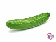 Rappel produit Concombre frais long (photo numéro 1)