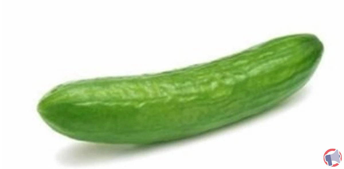 Rappel produit : concombre pièce calibre 400-500g