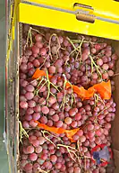 Rappel produit RAISIN ROSE RED GLOBE CAT I ORIGINE ITALIE CONTE MAX (photo numéro 1)
