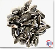 Rappel produit COQUILLAGES FILTREURS DE L'ETANG DE THAU (Huitres-Moules-Palourdes) COQUILLAGES FILTREURS DE L'ETANG DE THAU (photo numéro 3)