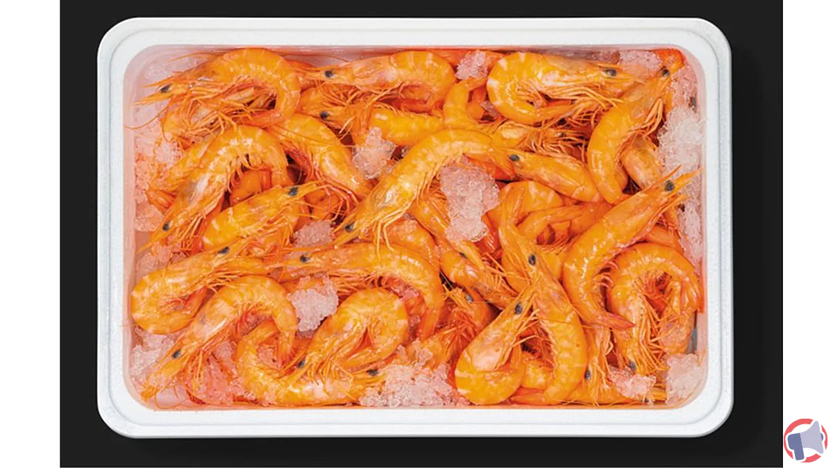 Rappel produit : crevettes entières cuites réfrigérées — risques et mesures à suivre