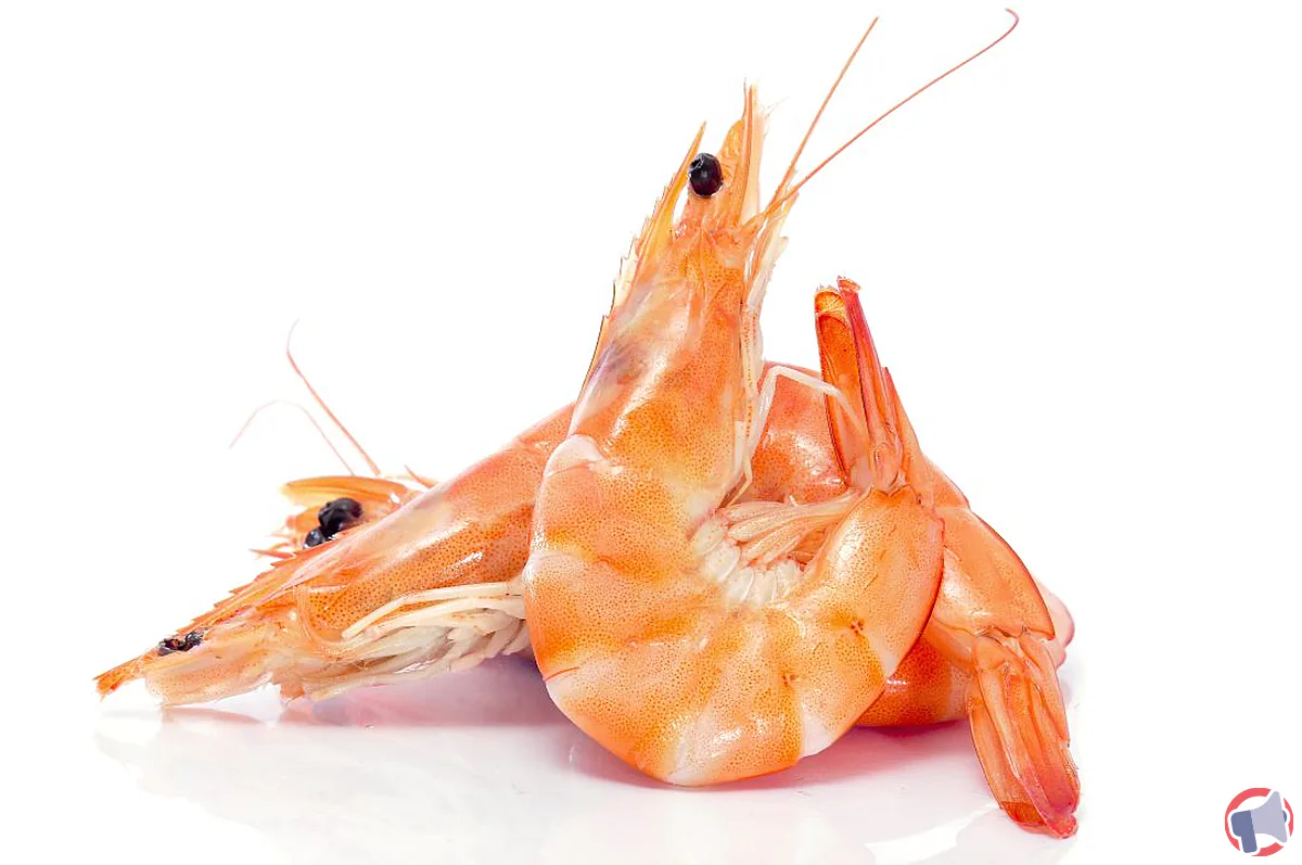 Rappel des crevettes cuites : informations et précautions pour les consommateurs