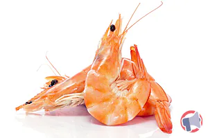 Rappel produit Crevettes cuites