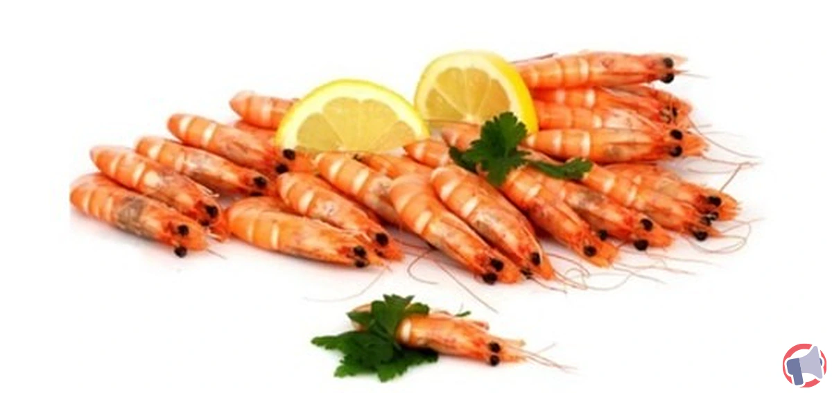 Rappel concernant les crevettes cuites : analyse, risques et conseils aux consommateurs
