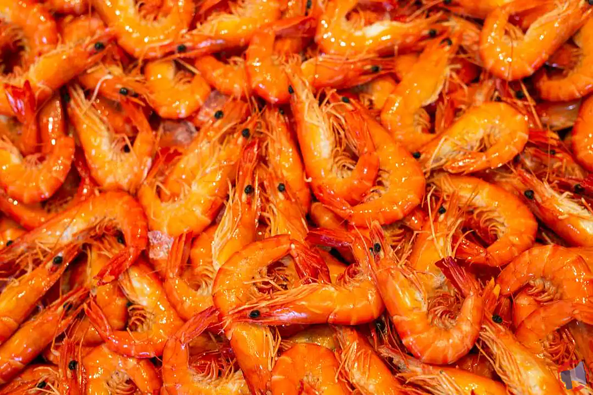 Rappel de crevettes cuites réfrigérées élevées au Venezuela : présence de listeria monocytogenes