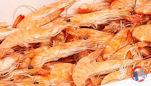 Rappel produit CREVETTES CUITES SAUVAGES 40/60 PECHEES EN OCEAN INDIEN