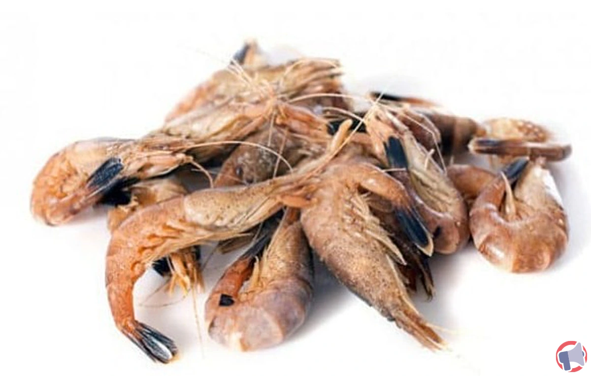 Rappel des crevettes grises cuites : vigilance sur un produit alimentaire à risque