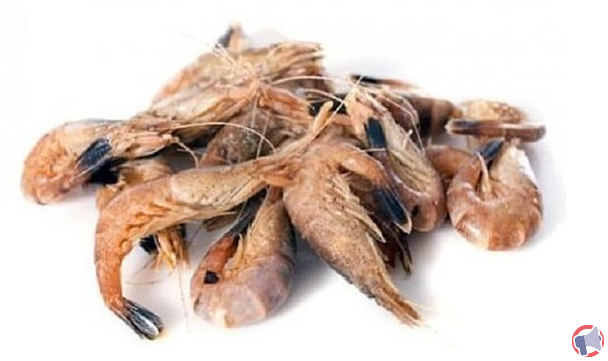 Rappel des crevettes grises cuites : une mise en garde pour les consommateurs