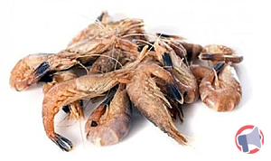 Rappel produit Crevettes grises cuites