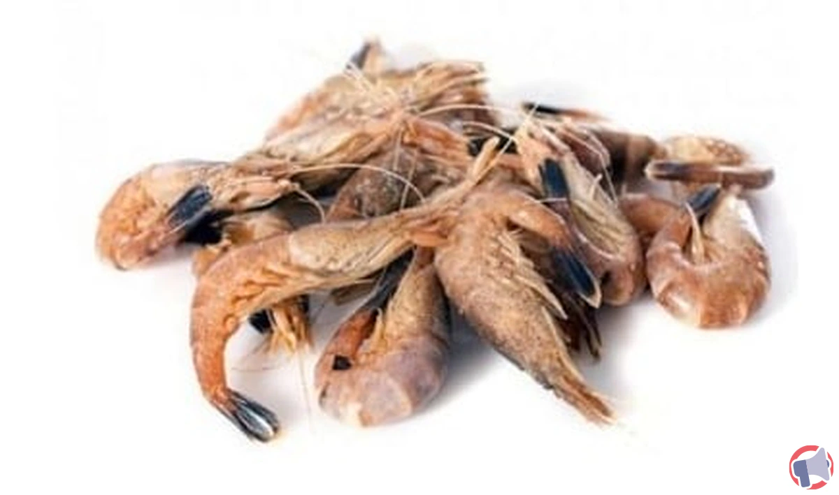 Rappel des crevettes grises cuites : prudence et mesures importantes pour les consommateurs