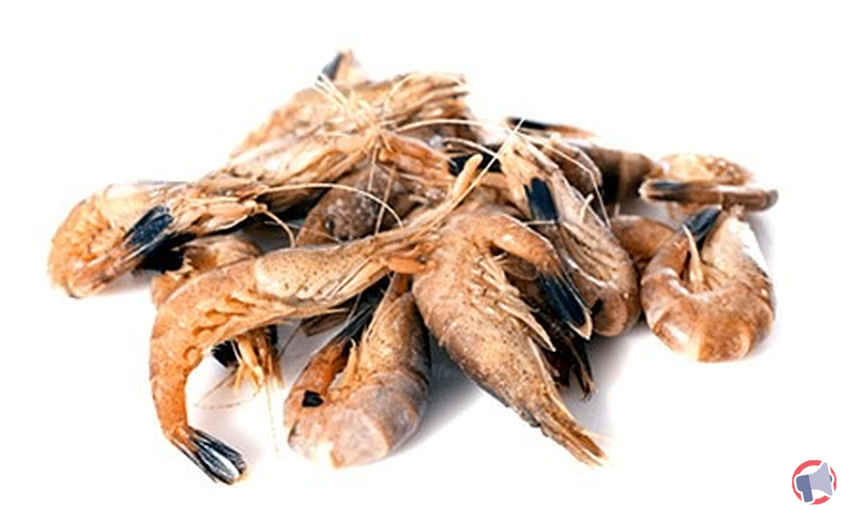 Rappel : crevettes grises cuites – risque de contamination et impact pour la santé