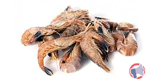 Rappel produit Crevettes grises cuites