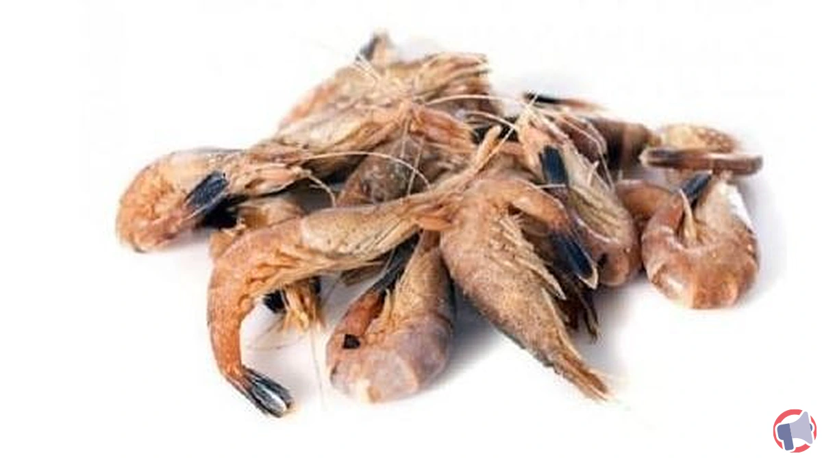 Rappel de crevettes grises cuites : ce qu’il faut faire sans tarder