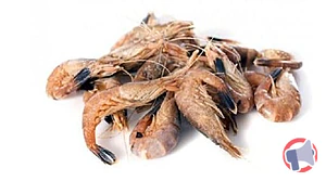 Rappel produit Crevettes grises cuites