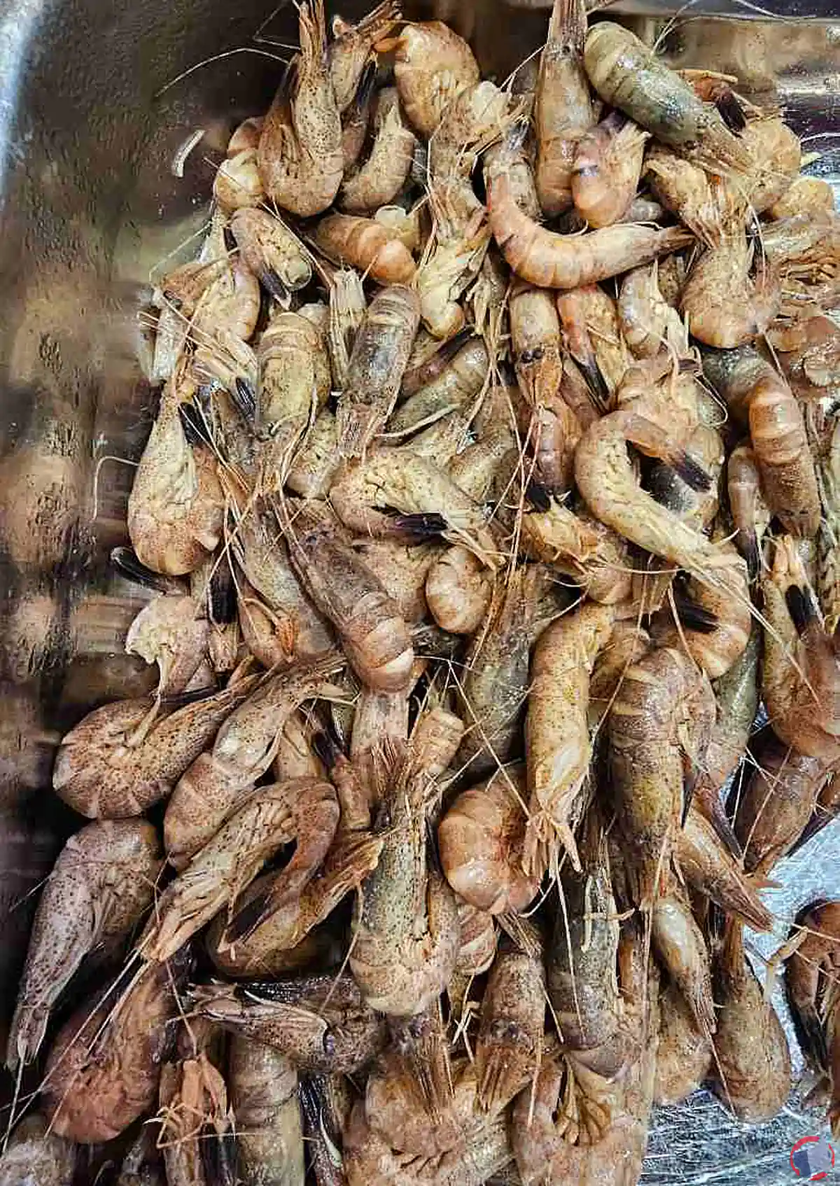 Rappel produit : crevettes grises cuites non déco