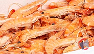 Rappel produit Crevettes roses cuites étal poissonnerie (photo numéro 1)