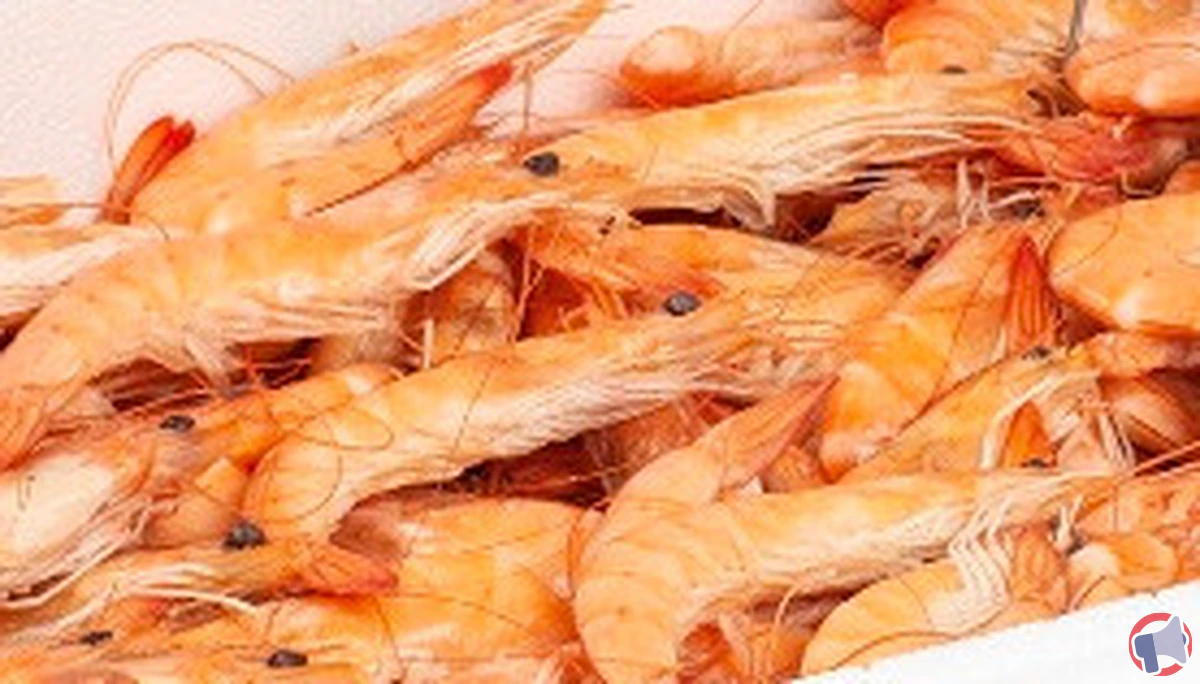 Rappel de crevettes roses cuites à l’étal et pois : ne pas consommer et vérifier l’éventuel remboursement