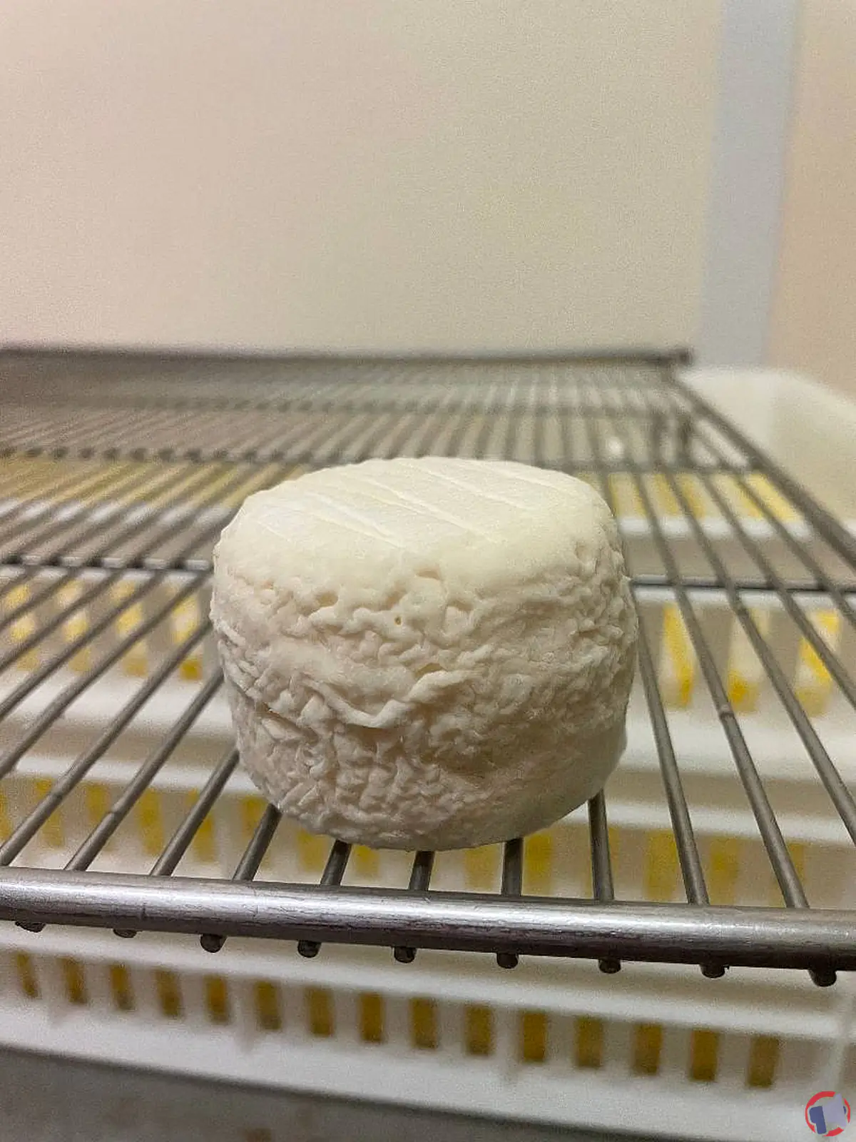 Rappel de crottins de chavignol au lait cru : risque de contamination par e.coli