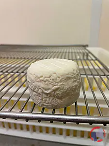Rappel produit fromages de chevres au lait cru crottins de chavignol au lait cru