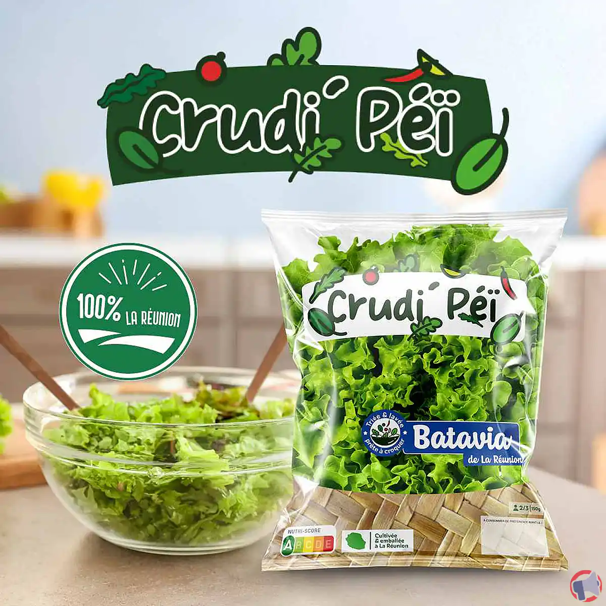 Rappel sur la salade batavia de Crudi Pei : consignes et risques à connaître
