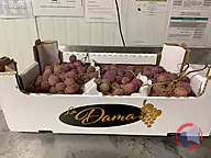 Rappel produit Raisin de table Red Globe Origine Italie La Dama (photo numéro 1)