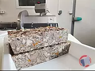 Rappel produit pâté de tête les délices du Gaulois (photo numéro 1)