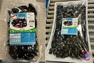 Rappel produit Moule fraîche de Hollande Extra DELTA MOSSEL