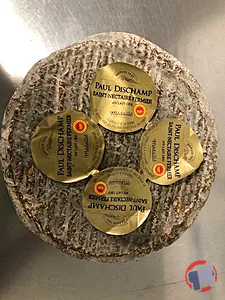 Rappel produit Saint-Nectaire fermier DISCHAMP