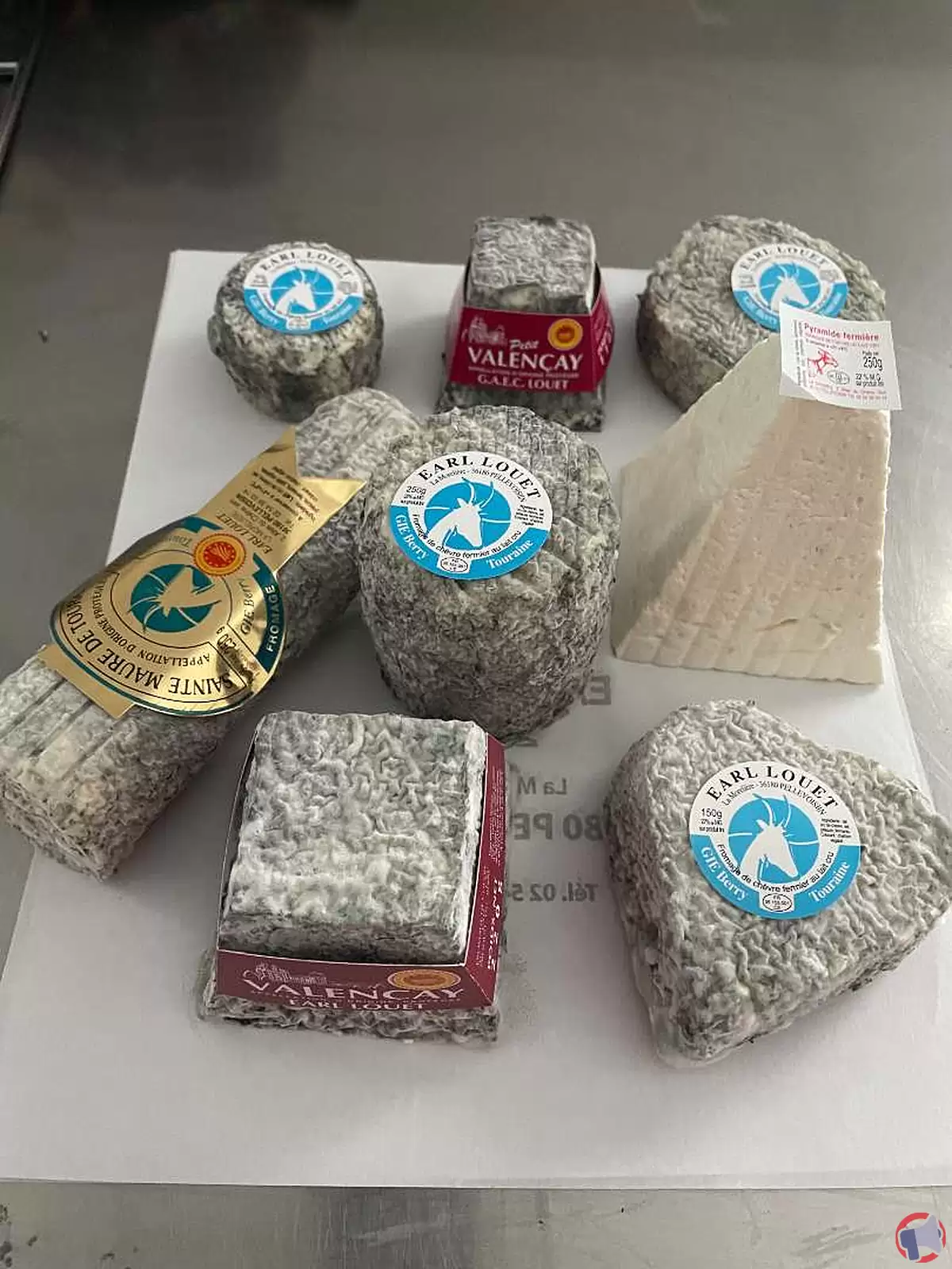 Rappel de fromages de chèvres au lait cru de la marque EARL LOUET pour risque de contamination à Escherichia coli