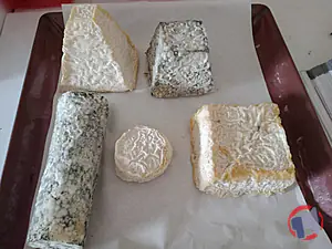 Rappel produit Fromages de chèvre frais et affinés EARL DE VILLIERS