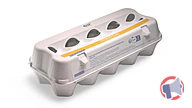 Rappel produit ECO + 10 ŒUFS FRAIS DE POULES ELEVEES AU SOL