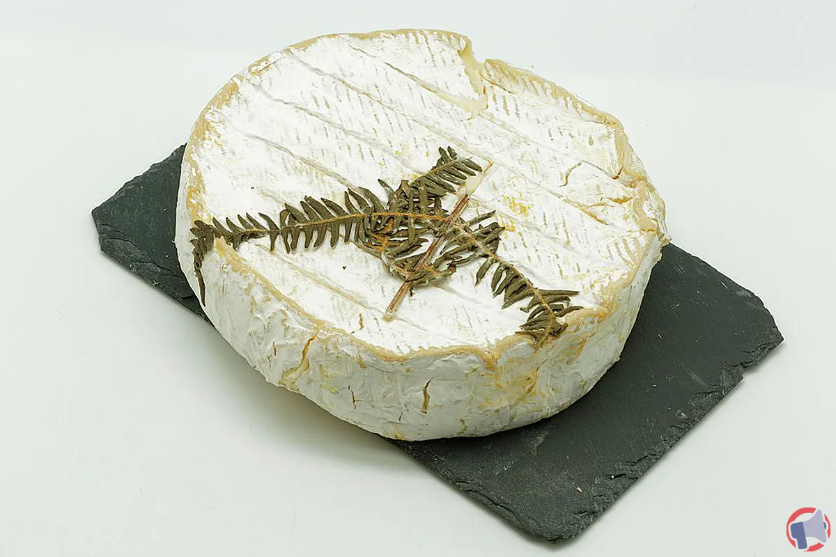 Rappel de produit : Fromage Fougerus de la marque E.Leclerc pour risque de listériose