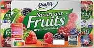 Rappel produit Yaourt aux fruits avec morceaux Fraise, Framboise, Mûre, Cerise Envia (photo numéro 1)