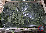Rappel produit Epinards vrac bio (photo numéro 1)