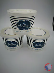 Rappel produit Crèmes glacées et sorbets artisanaux Eric Elien