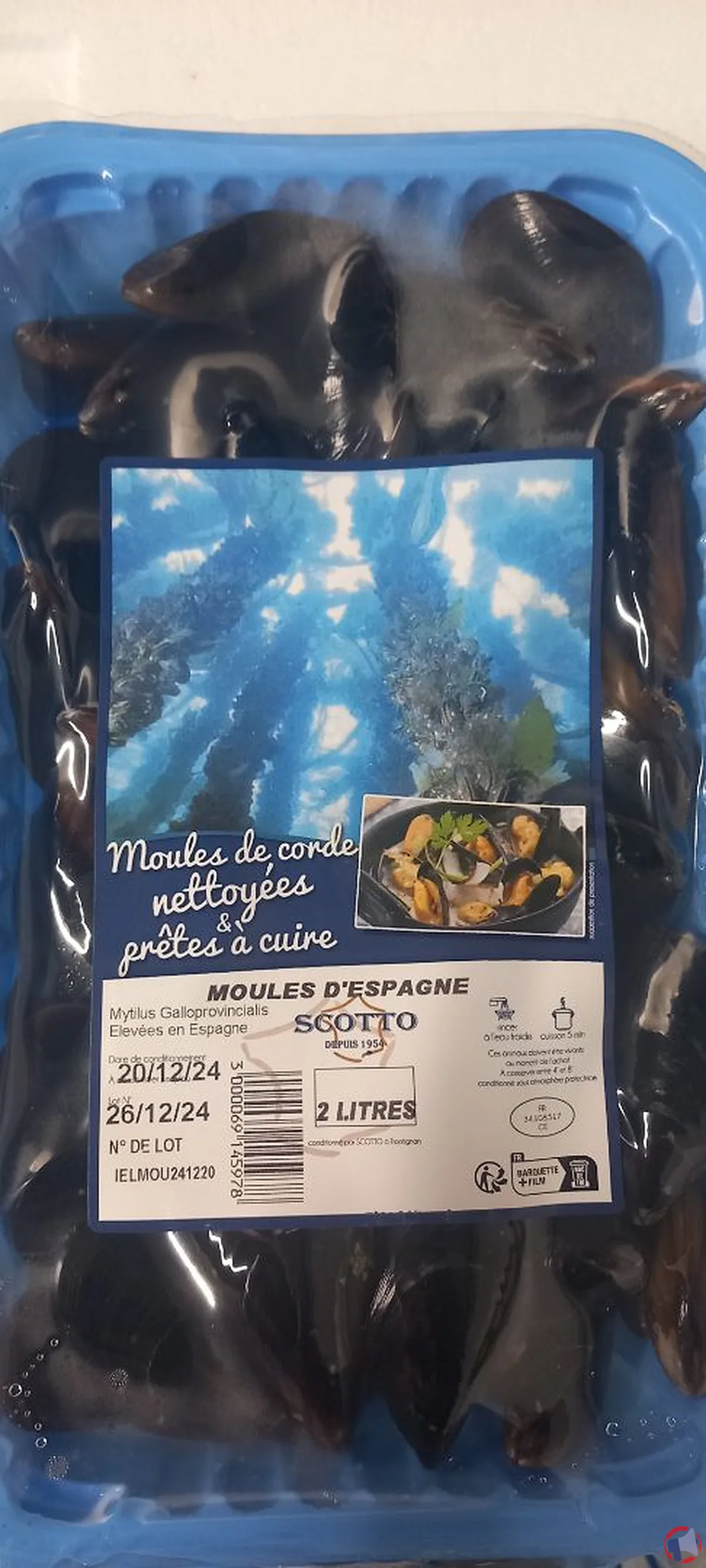 Rappel de moules d'Espagne de la marque ETS Scotto pour risque de salmonellose