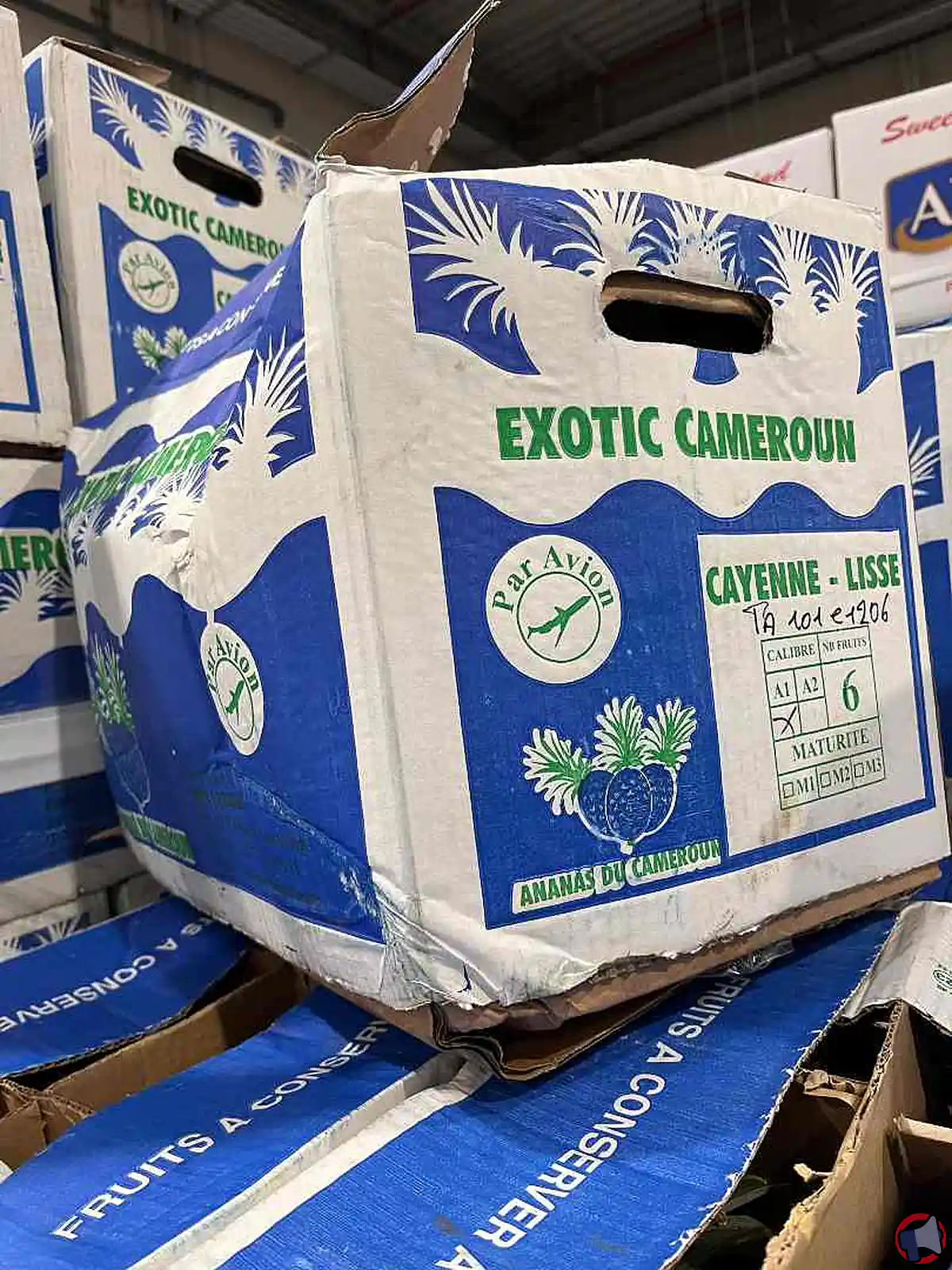 Rappel produit : Ananas Cayenne de la marque Exotic Fruit Cameroun