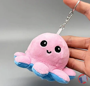 Rappel produit Porte-clés FELIZZ