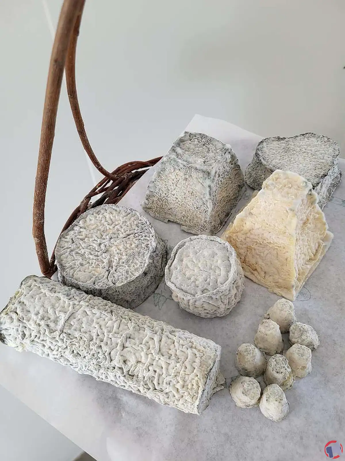 Rappel de fromages de chèvre de la Ferme du champ de l'étang : présence de STEC