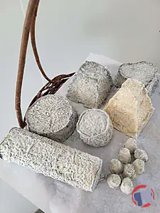 Rappel produit fromages de chèvres Ferme du champ de l'étang