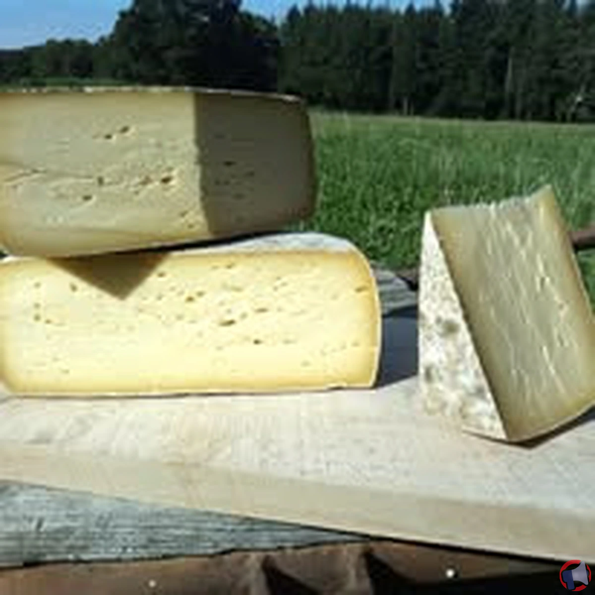 Rappel de la ferme chesnaye tomme coetquen : ce que vous devez savoir
