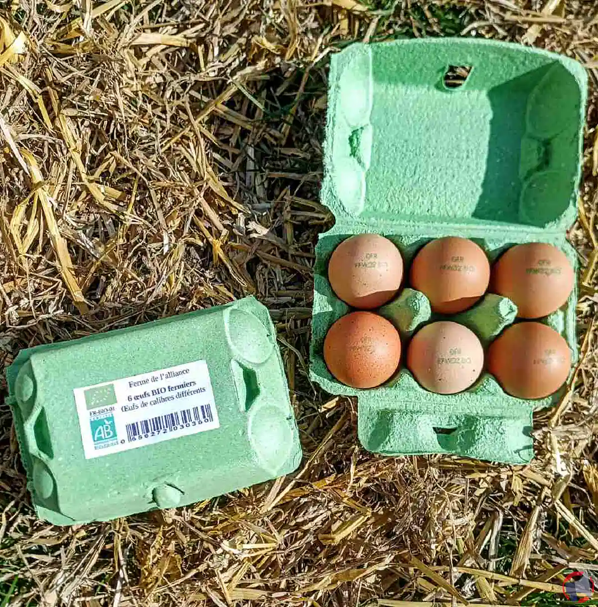 Rappel de produits : œufs de la Ferme de l'Alliance potentiellement contaminés