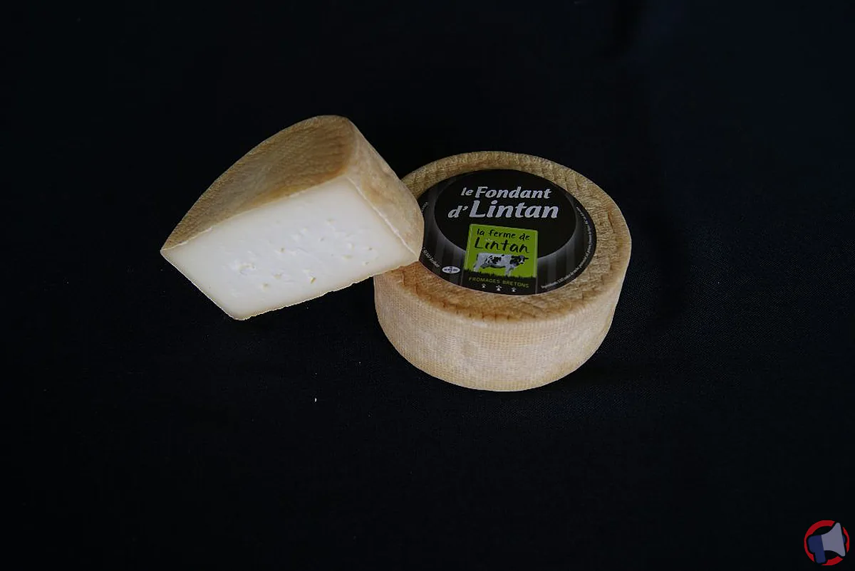Rappel « ferme l’intan fondant d’lintan » : pourquoi le produit fait l’objet d’une alerte