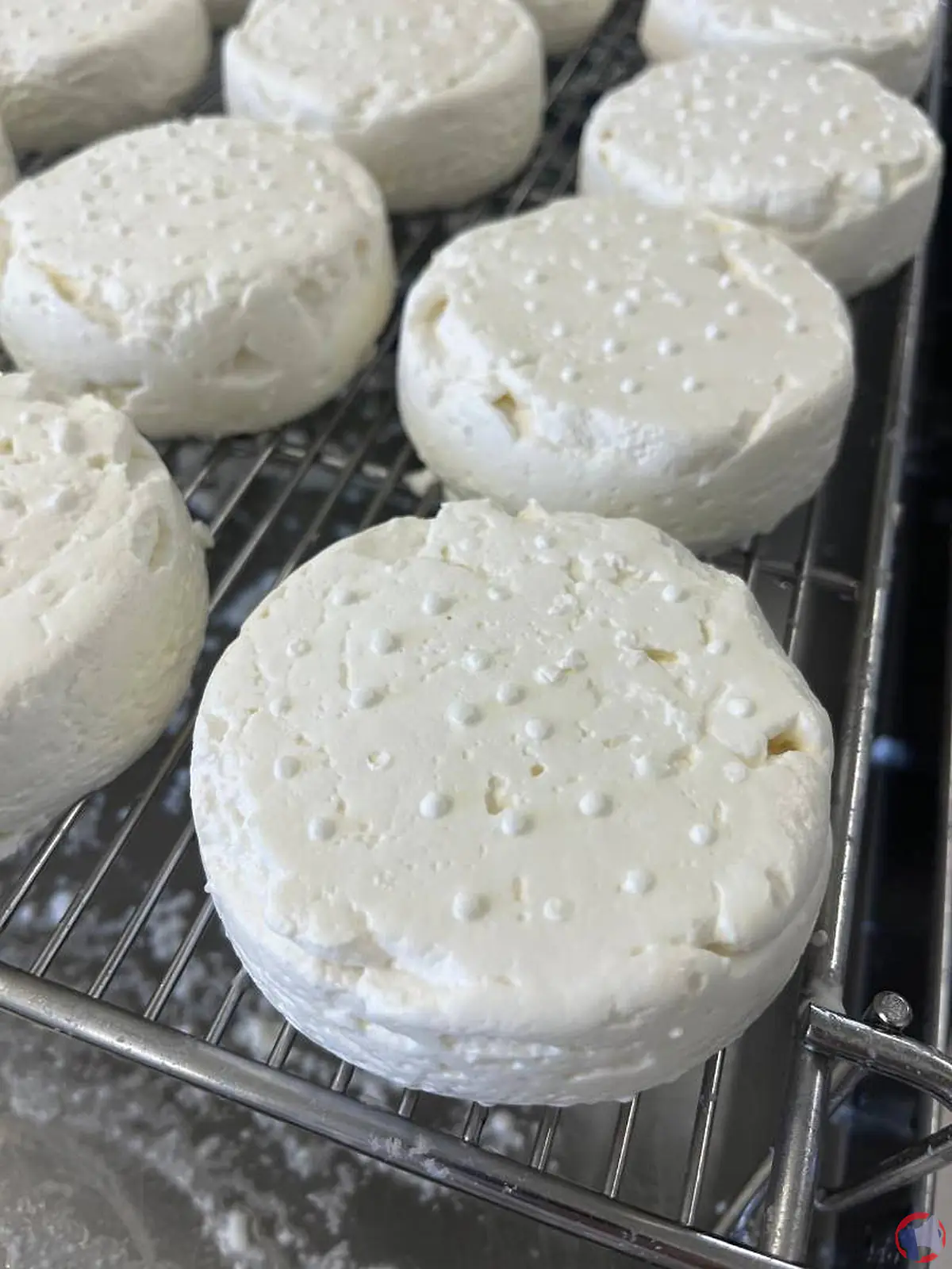 Rappel : Ferme thibauderie fromage chèvre rond frais