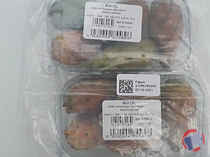 Rappel produit FIGUES DE BARBARIE, BARQUETTE 500G