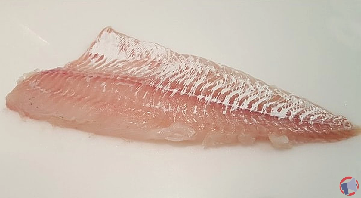 Rappel de produit : Filet d'eglefin vendu chez Leclerc Atout Sud à Rezé